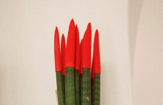 [Alibi Suites] Suite Fieramosca Spa & Relax - Foto 21