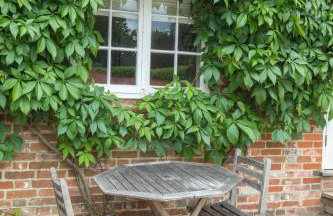 Charming one bedroom cottage - Foto 19