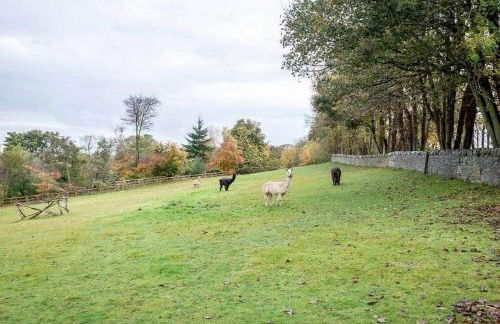 Park View Cottages - The Granary - Foto 17