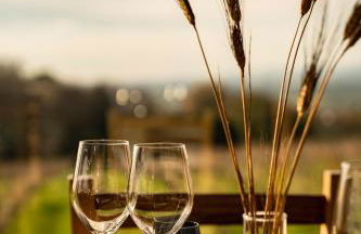 Cincinnato Wine Resort - Foto 51