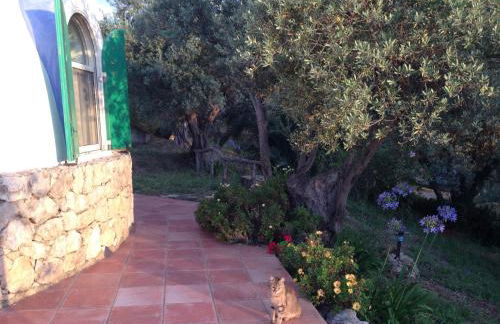 Giardino di Sicilia - Foto 75