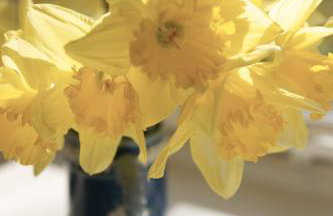 Eastside Steading - Family barn in the Pentland Hills, Edinburgh - Foto 23