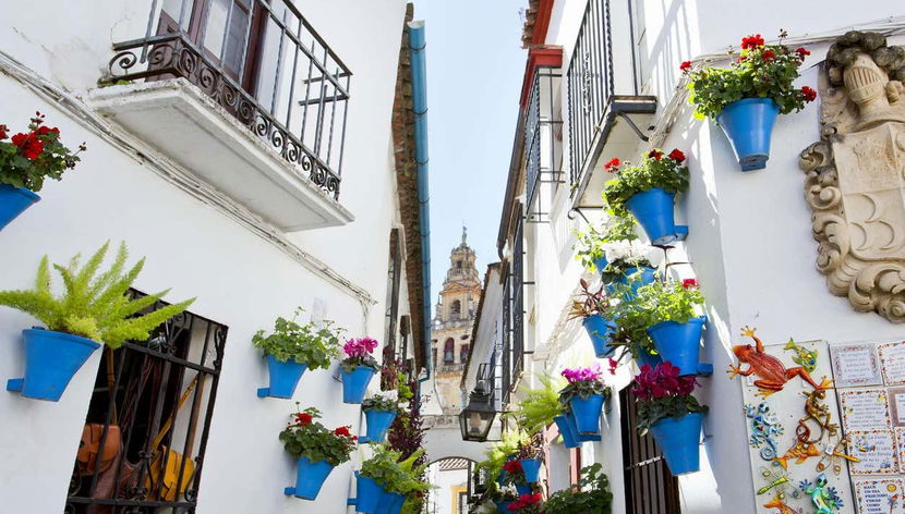 Free tour por la Córdoba de las tres culturas - Photo 3