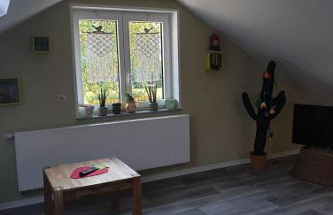 Gartenlaube - Foto 32