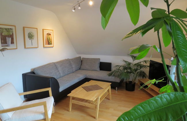 Reiners Alm - Foto 57