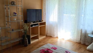 Offenburg Apartment - Foto 4