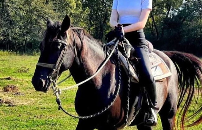 Apartmani Karučki krš - Foto 66