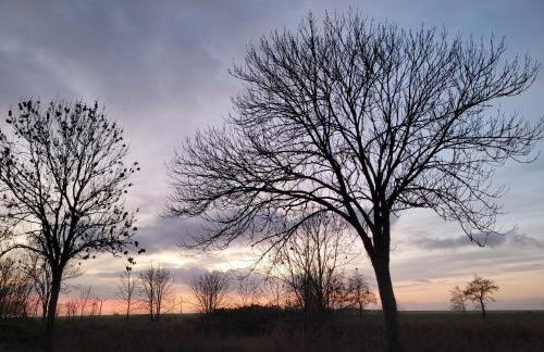 Gulfhof Anelis - Foto 35