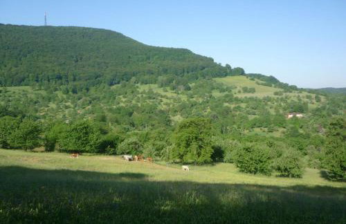 Ferienwohnungen Hubertus - Foto 11