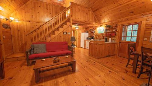 Cherokee Ridge Cabin Near The Ocoee River - Foto 4