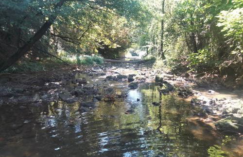 Appartement au bord de l'Yxeure au rez de chaussée avec terrain - Foto 9