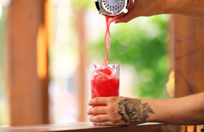 Vile Dalmacija - Foto 50