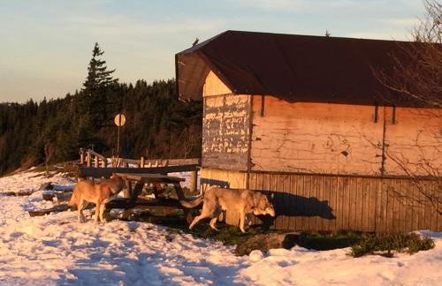 Schwarzwald Ferienwohnung - Foto 29