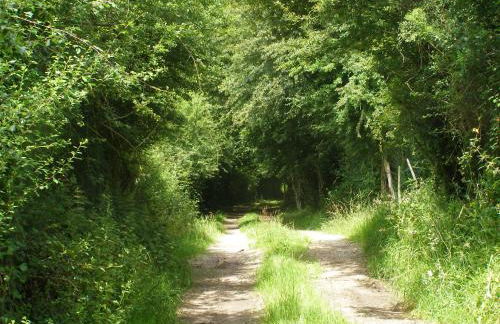 El Pedrueco turismo rural - Foto 70