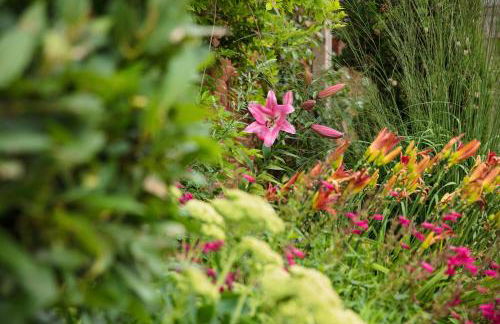 The Cart Shed - Foto 27