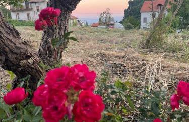 La Casetta di Zia Rosa - Foto 21