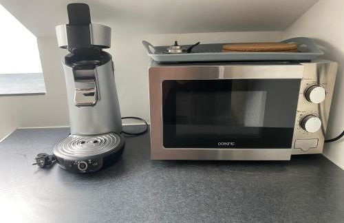 Location T4 entre Lac & Montagne - Photo 16