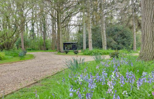 The Woods - Luxury cabin in a woodland setting - Foto 9