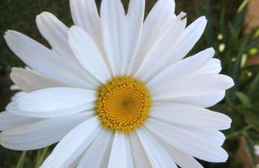 Hotel Rural Robles - Foto 4