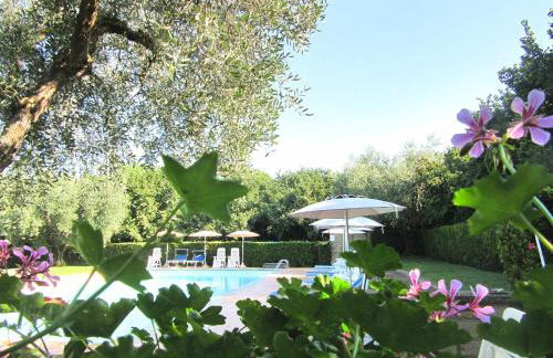 Montecasciano - Tulipano - Foto 41