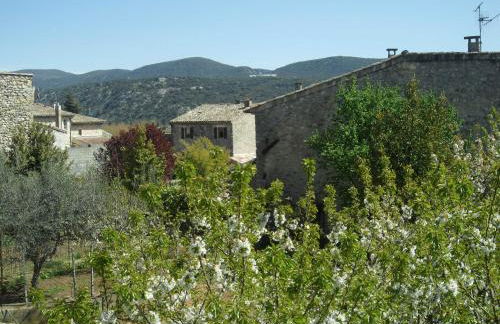 Le Mas du Paulou - Foto 13