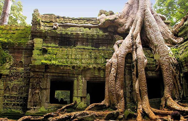 Phan NaTa Apartment - Photo 58