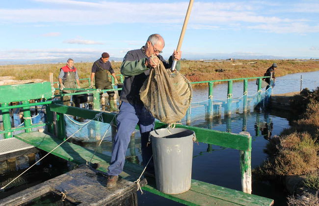 Fangar Bay Tour - Photo 7