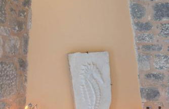 Villa Dimitra - Mani , traditional archontiko - Foto 45