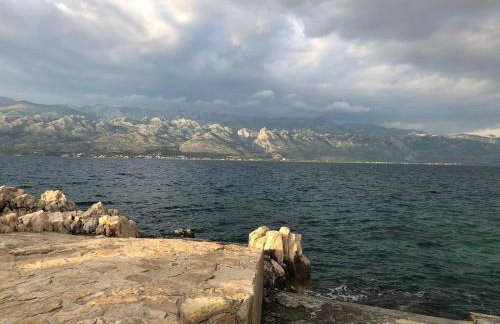 Apartment Boomerang - Photo 52