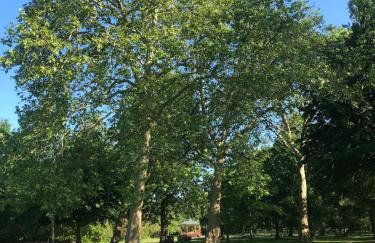 Stylish Flat in Queens Park with Private Parking, Central London Access - Foto 10