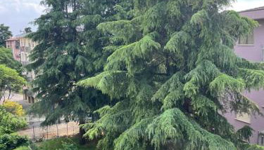 Dream & suite - Foto 3, Garden view