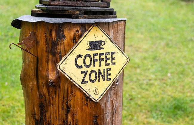 Apartment in Bruchhausen Right on the Fishing River - Foto 34