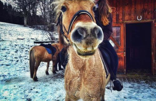 Ferienhof Gerda - Foto 10