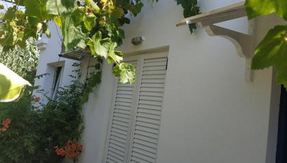 Kleines gemütliches Studio mit Terrasse, im Grünen gelegen - Foto 3