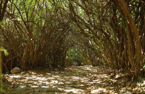 La Casería Azul de Cuadros - Foto 57