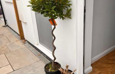 Charming 2-bed Apartment in Sandwich in Kent - Foto 47