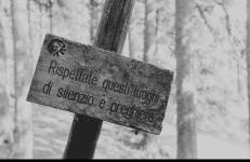 La Marzagrappola - Foto 32