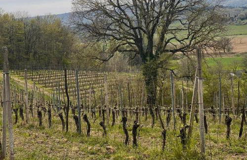 Agriturismo, Casa Borgo - Foto 56