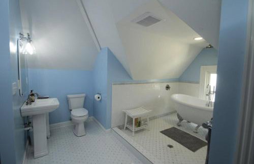 1880s Georgetown Jewel - Foto 33