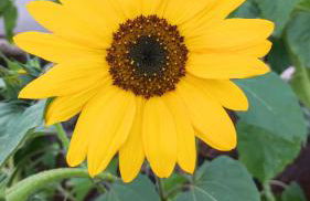 Oberberghof - Foto 45