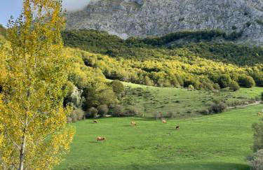 Casa Rural MONTE ROBLO - Foto 66