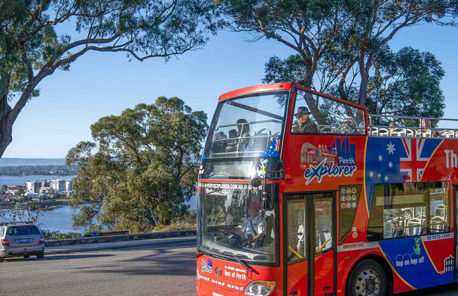 Autobus turistico di Perth - Foto 1