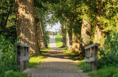5 Sterne Apartment Boddenoase mit Ostseeblick - Foto 24