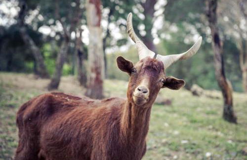 Le Mas de Cocody - Foto 42