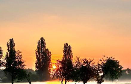 Ferienwohnung bei Hartmann`s - Foto 1