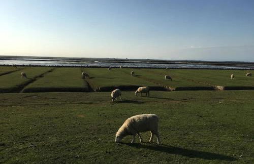Huus achtern Diek - Ferienwohnung 5 - Foto 28