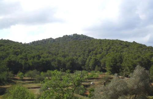 Sa Tanca den Marines ETV 1272 E - Foto 29