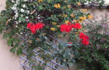 Le Croix Rousse Jacquard - Foto 26