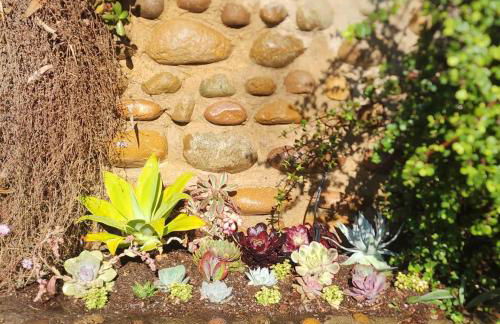 Urban Oasis Near Downtown & Balboa Park - Foto 20