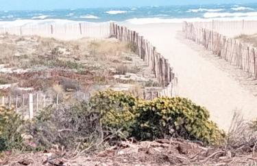 Charmant 2 pièces avec terrasse en bord de mer - Foto 21
